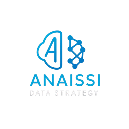 ANAISSI DATA STRATEGY